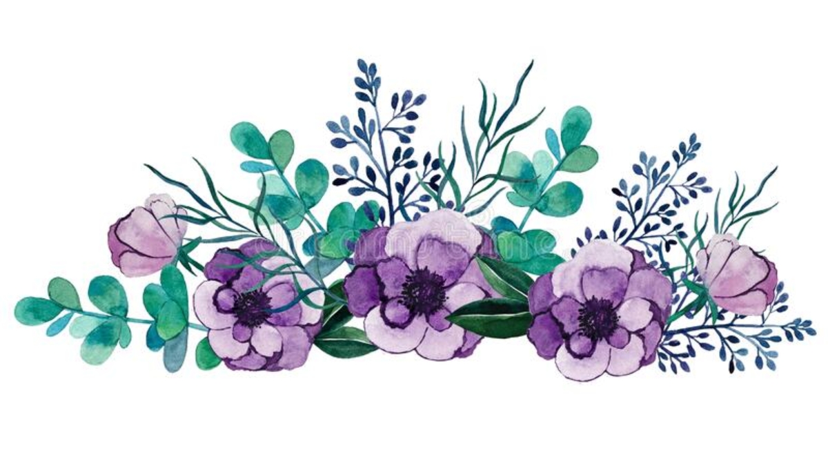 watercolor-illustration-anemones-flowers-eucalyptus-herbs-plants-isolated-object-white-background-watercolor-illustration-180819659