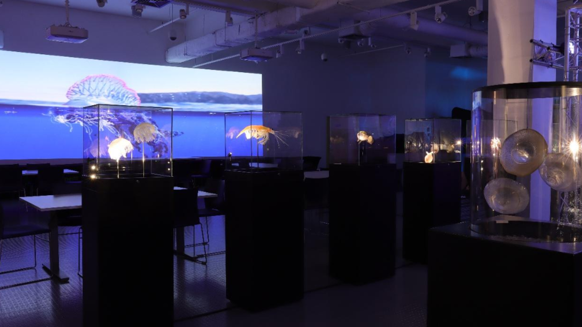 Zrzut ekranu 2026-01-16 090834