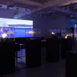 Zrzut ekranu 2026-01-16 090834