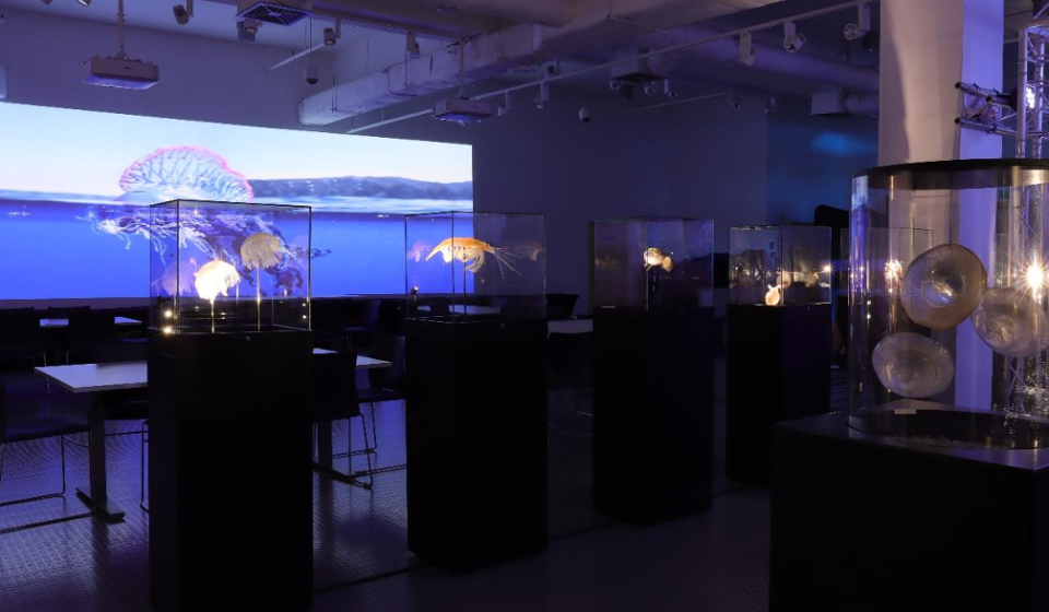 Zrzut ekranu 2026-01-16 090834