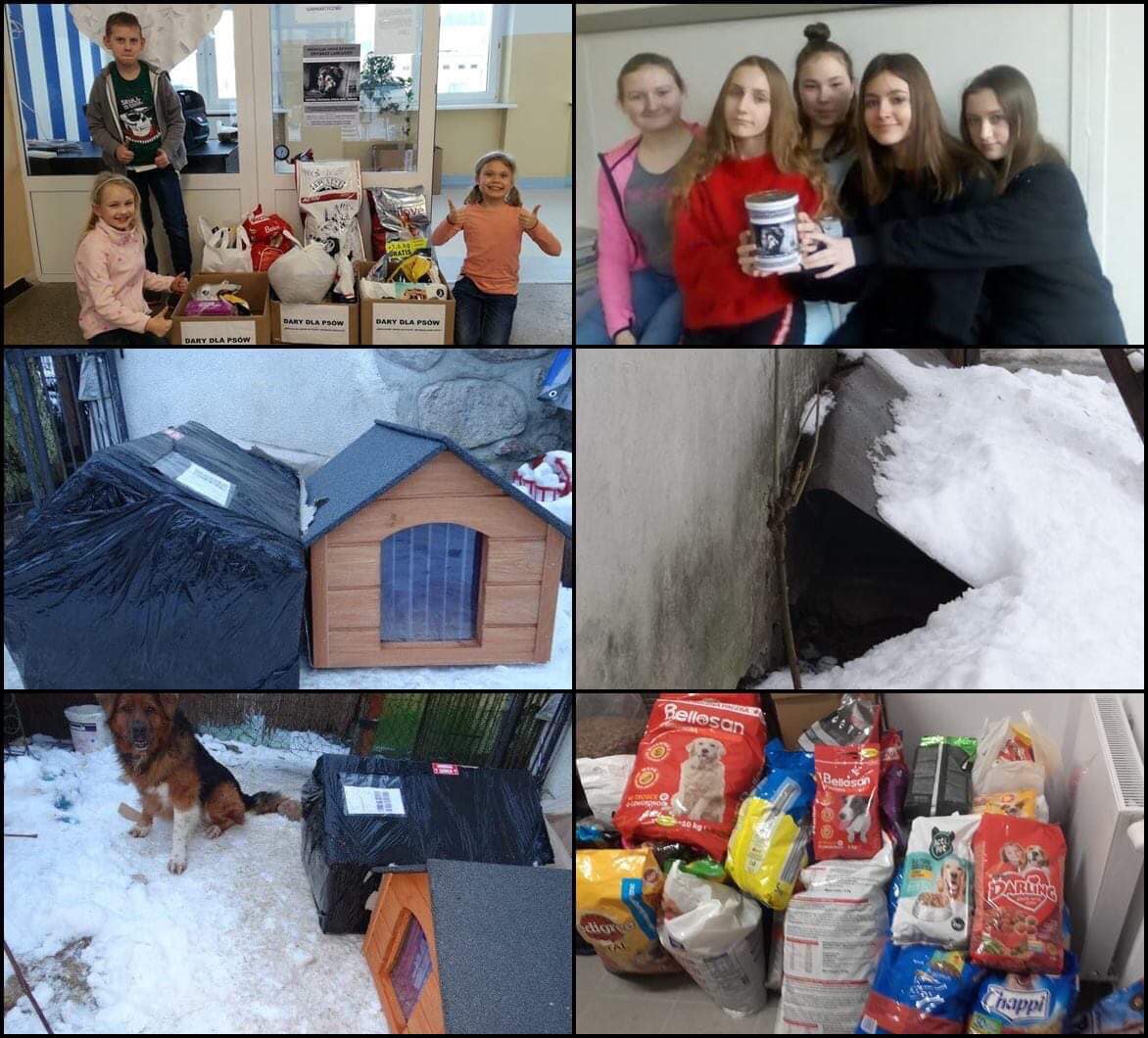 51844980_2371853646172845_2919326680256348160_o