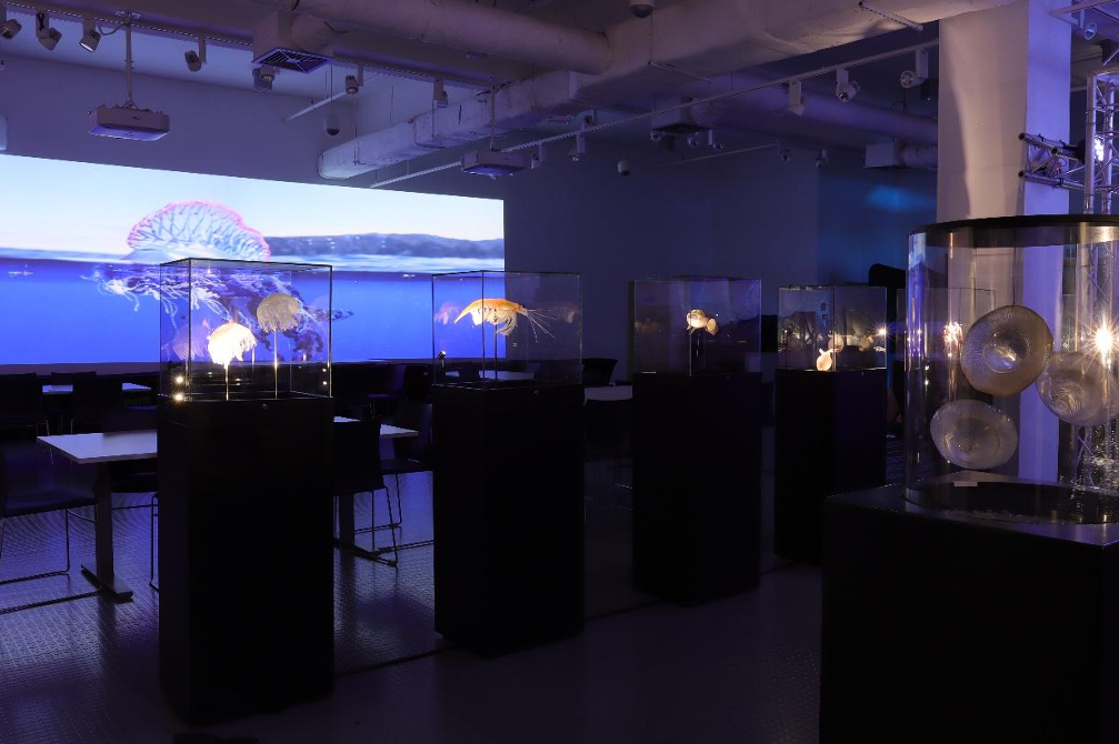 Zrzut ekranu 2026-01-16 090834